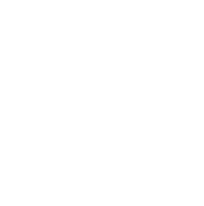 Transunion Logo